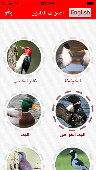 Play اصوات الطيور - Birds Sounds 