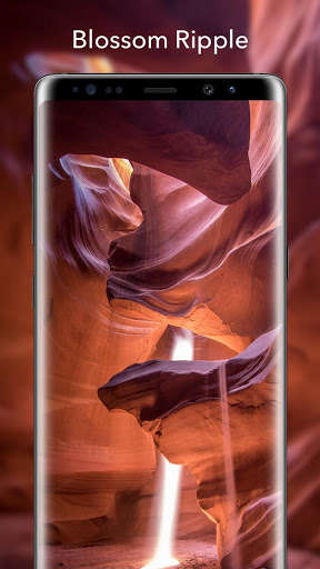 Play APK Blossom Ripple  and enjoy Blossom Ripple with UptoPlay com.blossom.ripple