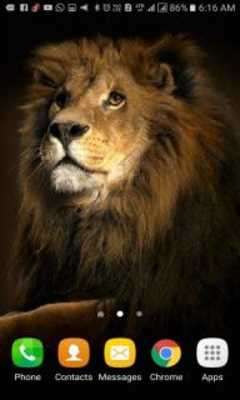 Play Brown Tiger Live Wallpaper Play Brown Tiger Live Wallpaper