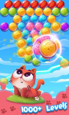 Play Bubble cat Pop 