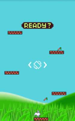 Play Bunny Jumping 