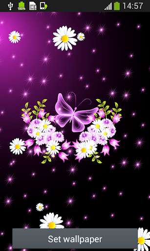 Play Butterfly Live Wallpapers 