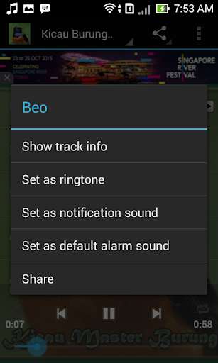 Play APK Canto De Passaros Mais Bonitos  and enjoy Canto De Passaros Mais Bonitos with UptoPlay 