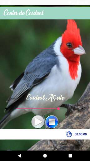 Play APK Cantos De Cardeal  and enjoy Cantos De Cardeal with UptoPlay 