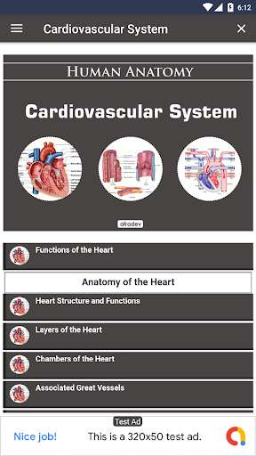 Play APK Cardiovascular System  and enjoy Cardiovascular System with UptoPlay wwk.wikikids.com.cardiovascularsystem