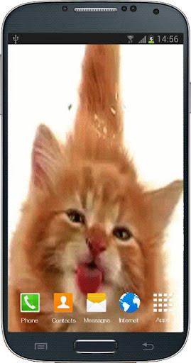 Play APK Cat Licking Screen  and enjoy Cat Licking Screen with UptoPlay com.veintidos.cat_licking_screen_live_wallpaper