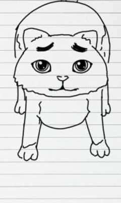 Play Cat Looks So Familiar 