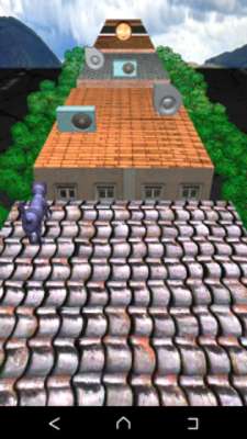 Play Cat on the roof 