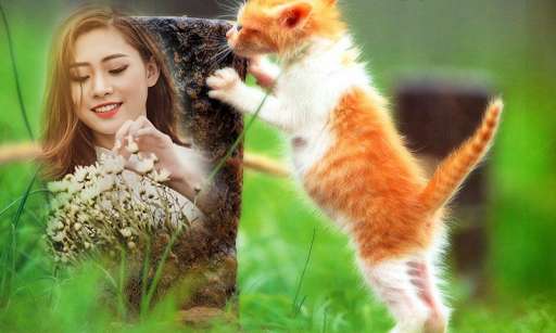 Play APK Cat Photo Frames  and enjoy Cat Photo Frames with UptoPlay com.CatPhotoFramesmmhd