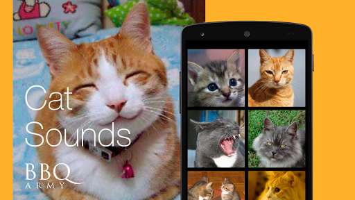 Play APK Cat Sounds for Cat  and enjoy Cat Sounds for Cat with UptoPlay com.bbqarmy.catsounds