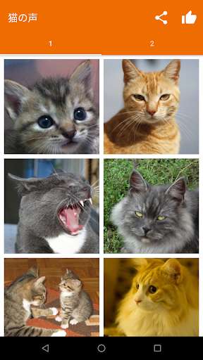 Play APK Cat Sounds for Cat  and enjoy Cat Sounds for Cat with UptoPlay com.bbqarmy.catsounds