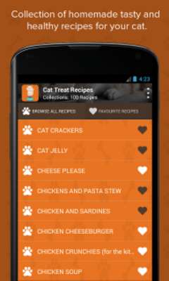 Play Cat Treat Recipes 