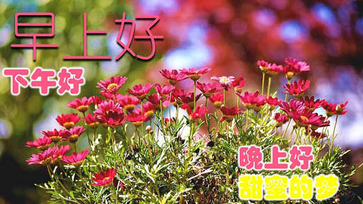 Play APK Chinese Good Morning Noon Good Night Love  and enjoy Chinese Good Morning Noon Good Night Love with UptoPlay com.myDestiny.Love.cn1_Chinese_Morning_Afternoon_Evening_Night