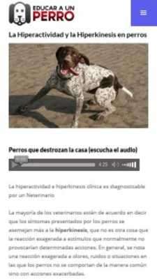 Play Cómo Educar a un Perro Play Cómo Educar a un Perro