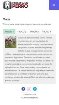 Play Cómo Educar a un Perro Play Cómo Educar a un Perro