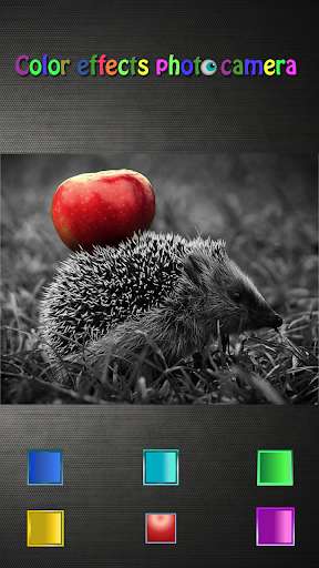 Play Color Effects Photo Camera 