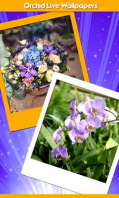 Play com.livewallpapershq.orchidlivewallpapers 