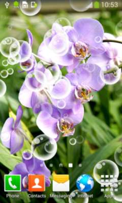 Play com.livewallpapershq.orchidlivewallpapers 