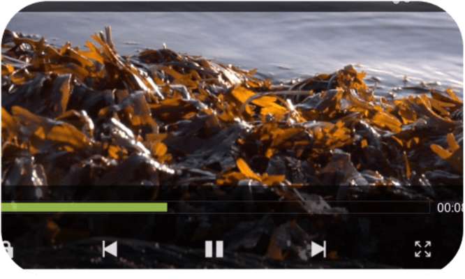 Play com.sumur.videomxplayerpro Play com.sumur.videomxplayerpro