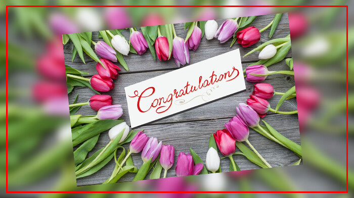 Play Congratulation Greeting Cards 