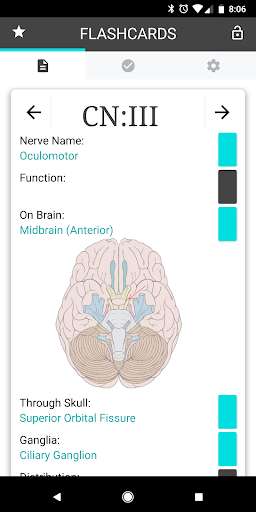 Play APK Cranial Nerves Flashcards  and enjoy Cranial Nerves Flashcards with UptoPlay appinventor.ai_trevor_miner.CranialNervesFlashCards