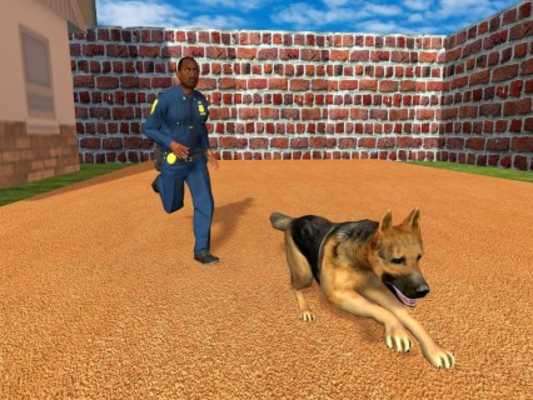 Play Crazy Horse Animal Transport 