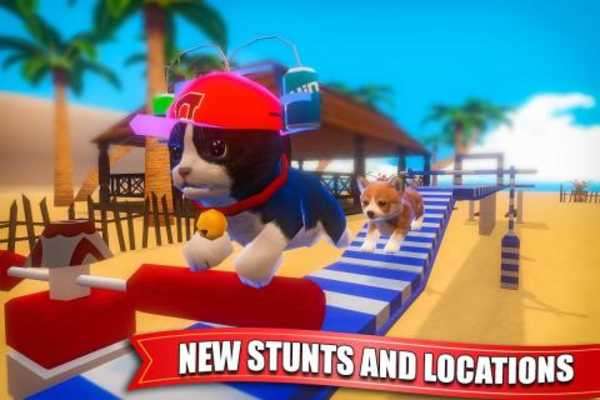 Play Cute Cat Simulator: Cat & Dog Stunts Show 