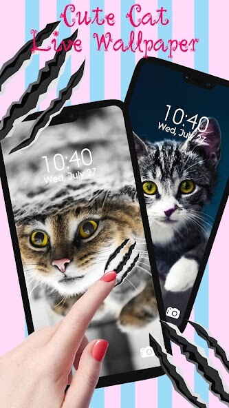 Play APK Cute Lovely Cat APUS Live Wallpaper  and enjoy Cute Lovely Cat APUS Live Wallpaper with UptoPlay com.apusapps.livewallpaper.cutecat_ec6d4008