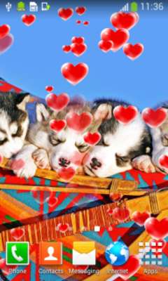 Play Cute Puppies Live Wallpapers Play Cute Puppies Live Wallpapers