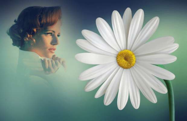 Play Daisy Flower Photo Frames 
