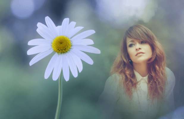 Play Daisy Flower Photo Frames 