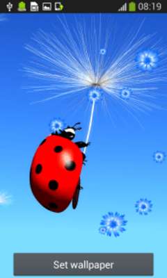 Play Dandelion Live Wallpapers Play Dandelion Live Wallpapers