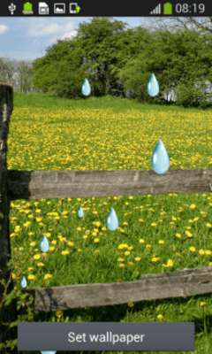 Play Dandelion Live Wallpapers Play Dandelion Live Wallpapers