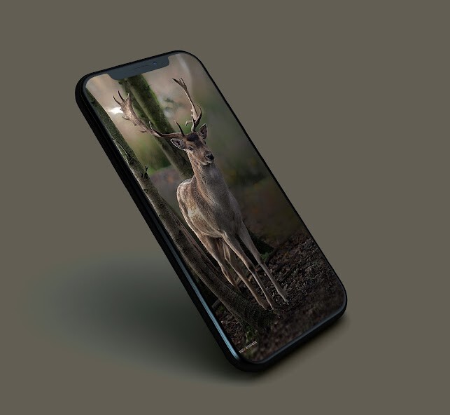 Play APK Deer Wallpapers and enjoy Deer Wallpapers with UptoPlay com.thorappsandroid.deers Play APK Deer Wallpapers and enjoy Deer Wallpapers with UptoPlay com.thorappsandroid.deers