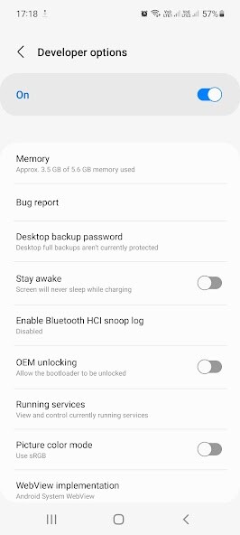 Play Developer Options Shortcut 