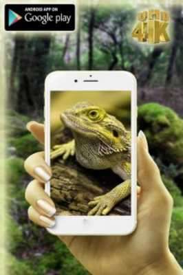 Play Digital Zoom Camera 360 Pro 