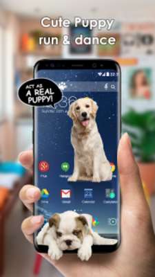 Play Dog on Screen Simulated Play Dog on Screen Simulated