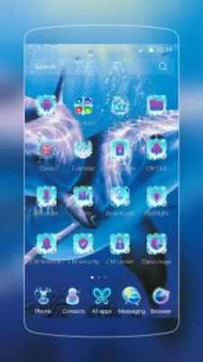 Play Dolphin Love Theme 