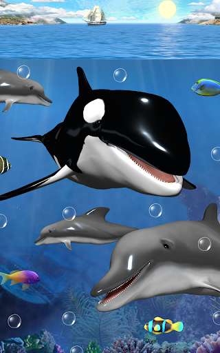 Play APK Dolphins and orcas wallpaper  and enjoy Dolphins and orcas wallpaper with UptoPlay com.cosmicmobile.lw.dolphins_and_orcas