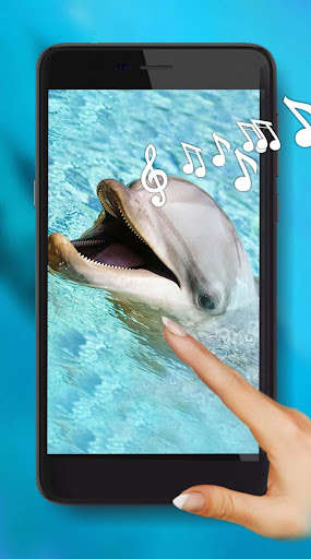 Play Dolphins Sounds live wallpaper 
