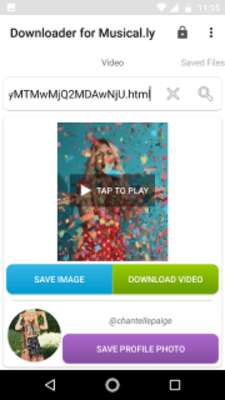 Play Downloader for Musical.ly 