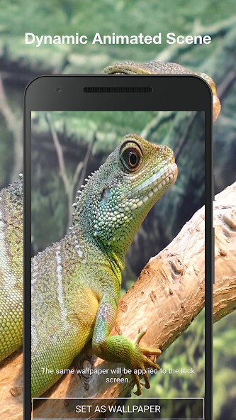 Play APK Dragon Live Wallpaper  and enjoy Dragon Live Wallpaper with UptoPlay com.DragonLiveWallpaper.HDLiveWallpapersFree