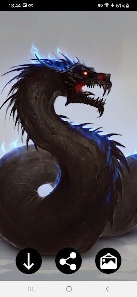 Play Dragon Wallpapers 