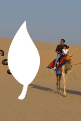 Play Dubai Desert Safari 2016 