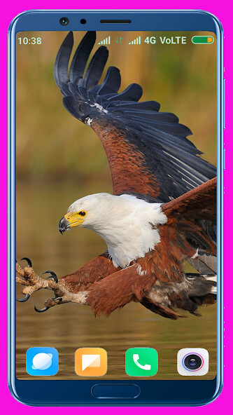 Play APK Eagle HD Wallpaper  and enjoy Eagle HD Wallpaper with UptoPlay com.hdwcar.newhawk