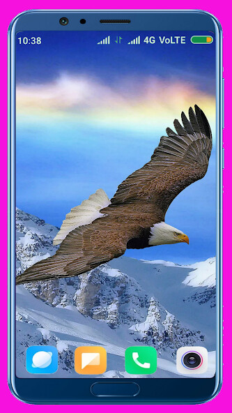 Play APK Eagle HD Wallpaper  and enjoy Eagle HD Wallpaper with UptoPlay com.hdwcar.newhawk