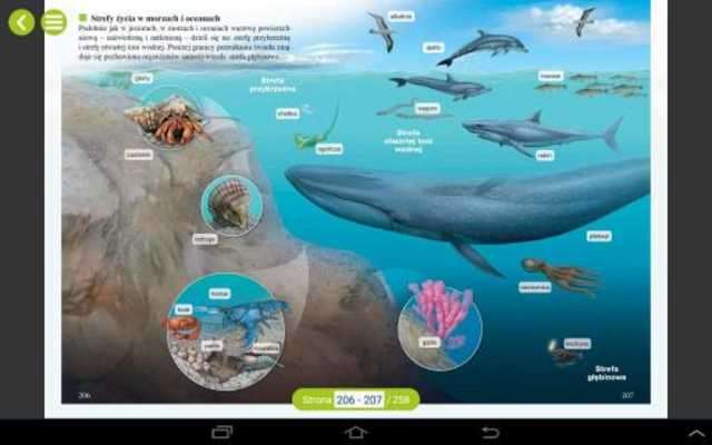 Play E-booki Nowej Ery – SP 