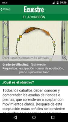Play Ecuestre. Entrena tu caballo 