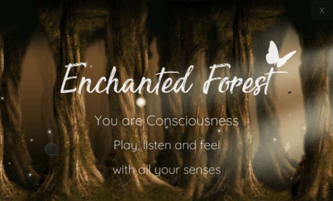 Play Enchanted Forest Meditation 