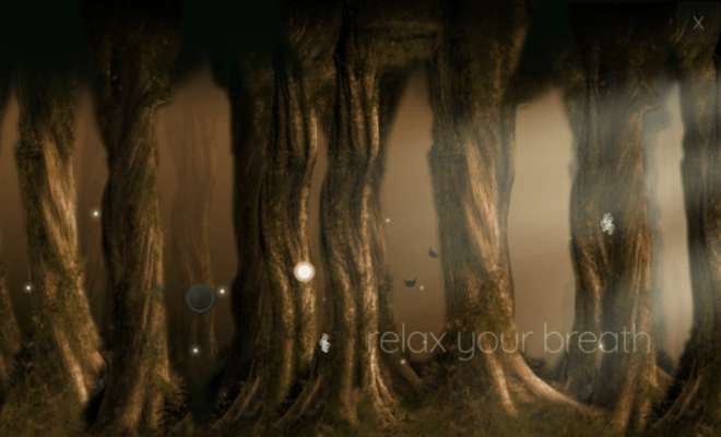 Play Enchanted Forest Meditation 